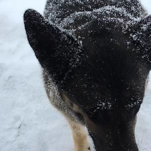 Meet your Posher, Angelica